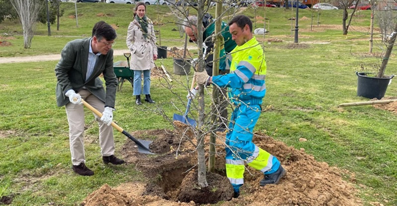 Escolares de Fuencarral-El Pardo Conmemoran el Día del Árbol con una Plantación en el Parque de Fuentelarreina