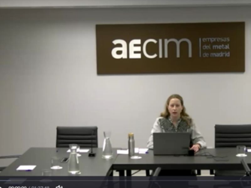 Fundamentos Esenciales para la Movilidad Internacional de Trabajadores en el Sector Metalúrgico