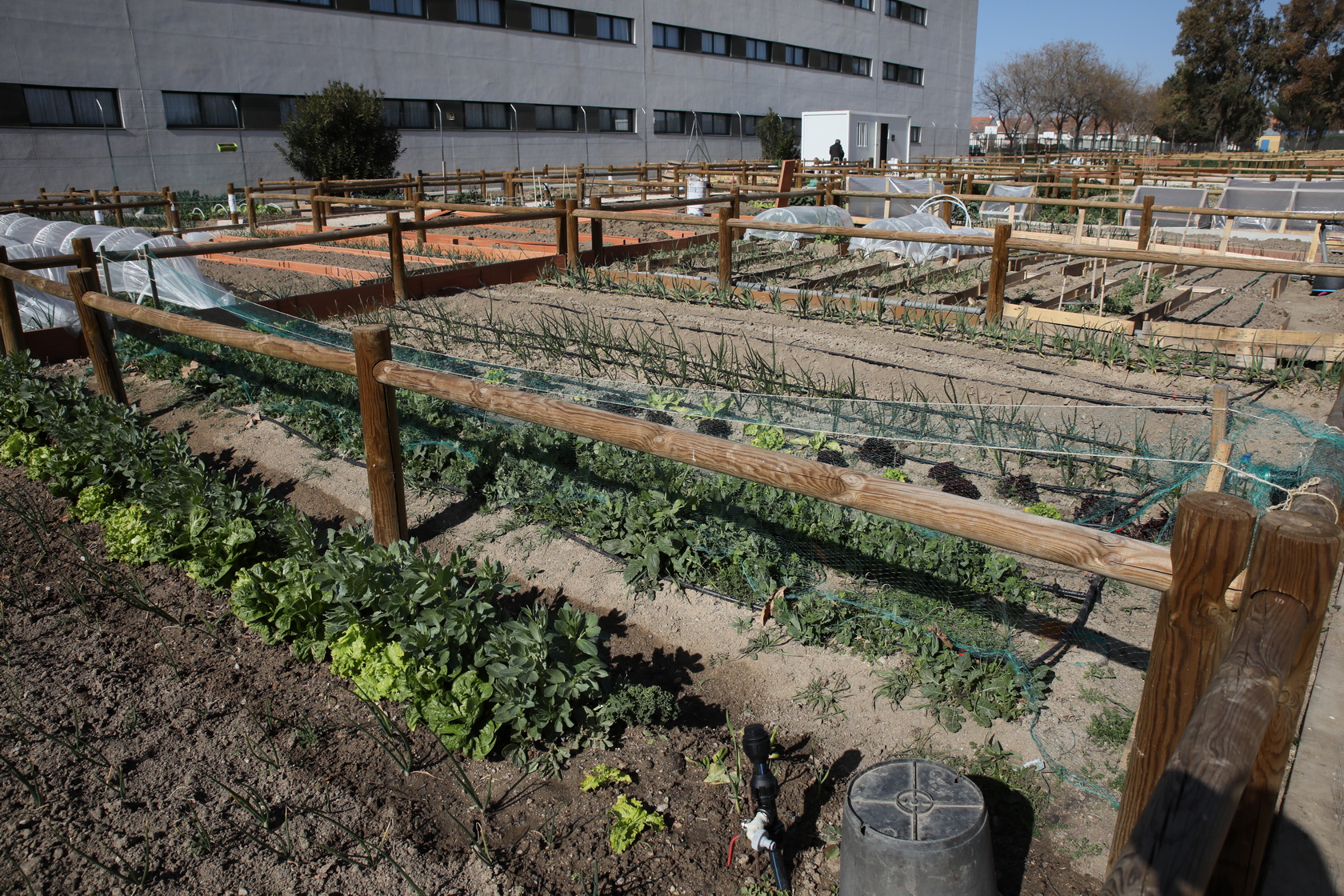 Getafe se une al Plant Based Treaty para promover una alimentación sostenible y saludable
