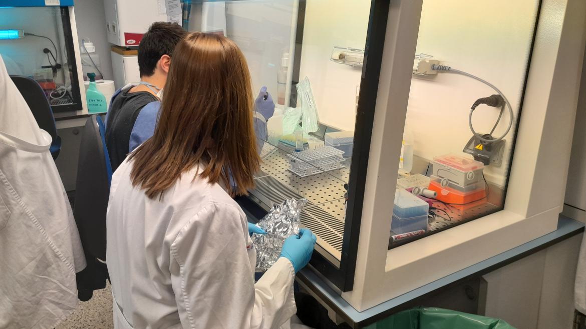 Investigación Internacional Destaca el Potencial de Bacterias Salivales en Mitigación de Alergias al Cacahuete