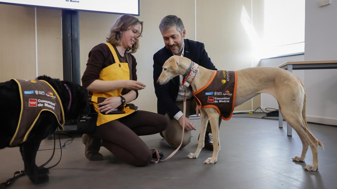 La Comunidad de Madrid Proporcionará Perros de Apoyo para Menores en sedes Judiciales en 2025