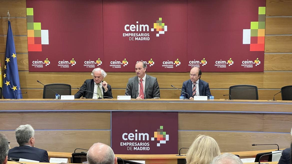 La Comunidad de Madrid Encabeza la Demanda de Talento Digital en España