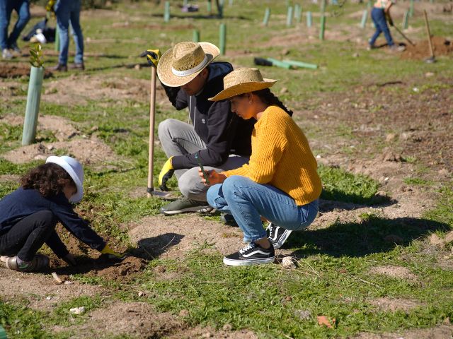 Las Rozas Recibe el Prestigioso Reconocimiento ‘Tree Cities of the World 2025’