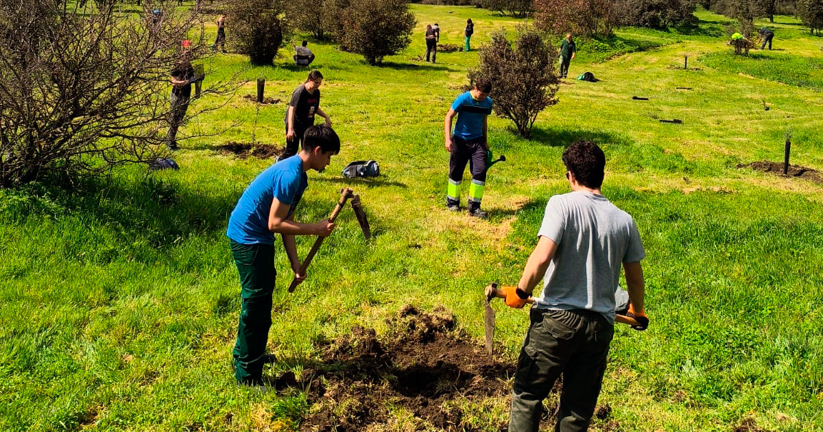 Madrid impulsa el Día del Árbol con reformas urbanas y una inversión de 5 millones para nuevas plantaciones