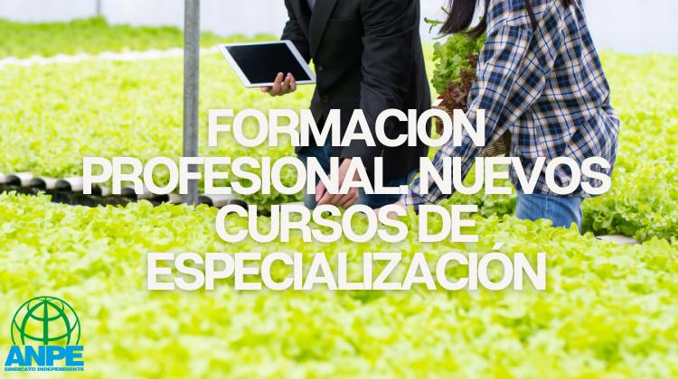 Nuevos Cursos de Especialización Revolucionan la Formación Profesional
