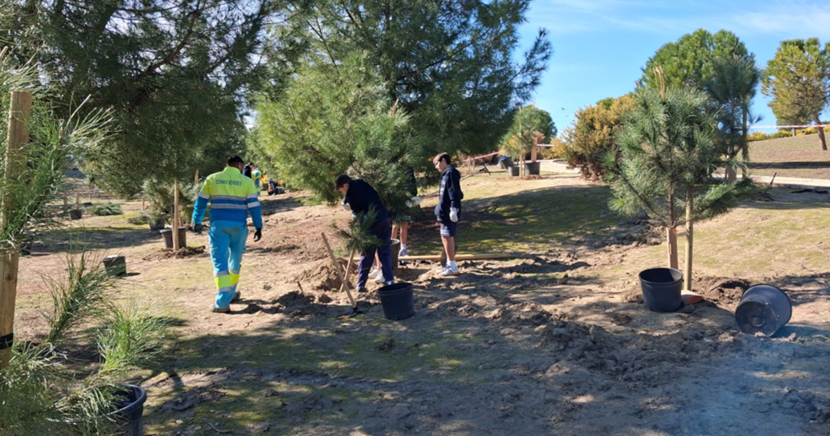 Plantaciones, Juegos y Talleres: La Gran Fiesta del Día del Árbol en Madrid