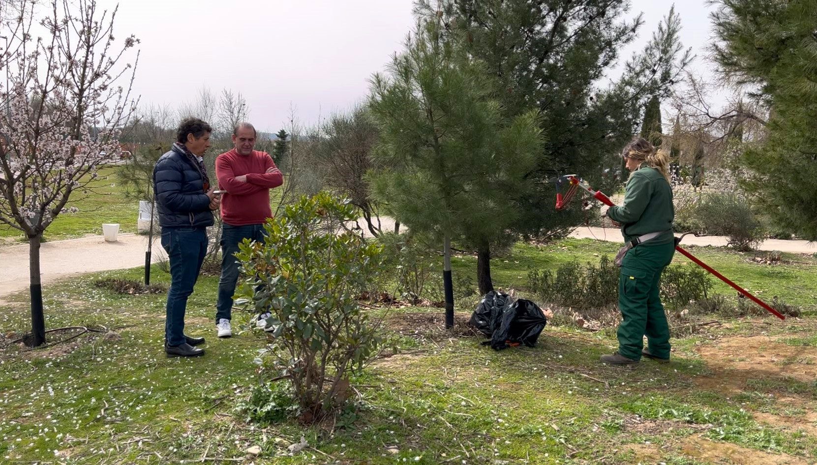 Refuerzan control de la procesionaria del pino en Alcalá con más de mil acciones preventivas durante los meses fríos