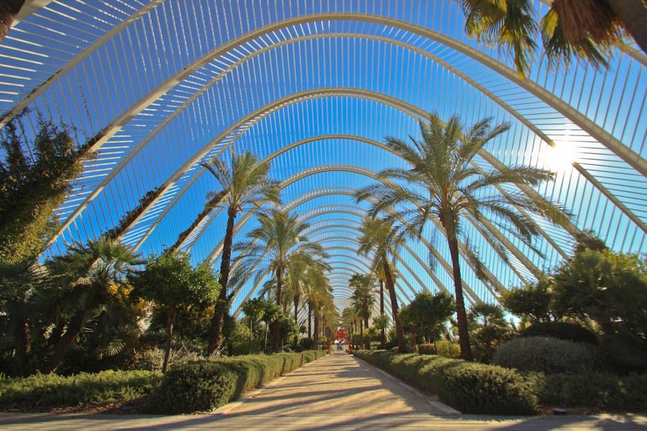 Valencia: Reconocida como la Ciudad Más Saludable de España por Altezza Travel en 2023
