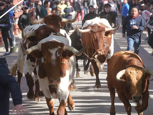 Las Matas arranca las fiestas de San José Obrero 2026