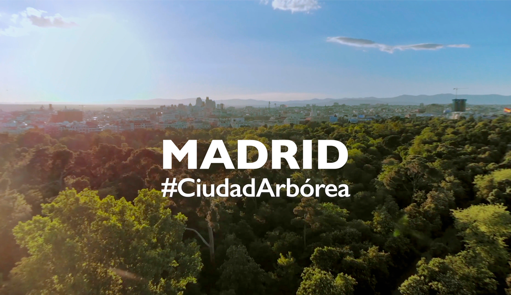 Madrid: Ciudad Arbórea del Mundo 2025 por su compromiso con el patrimonio verde