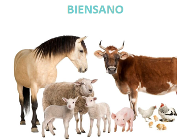 Proyecto en Veterinaria de la UCM acerca la producción alimentaria sostenible a Madrid
