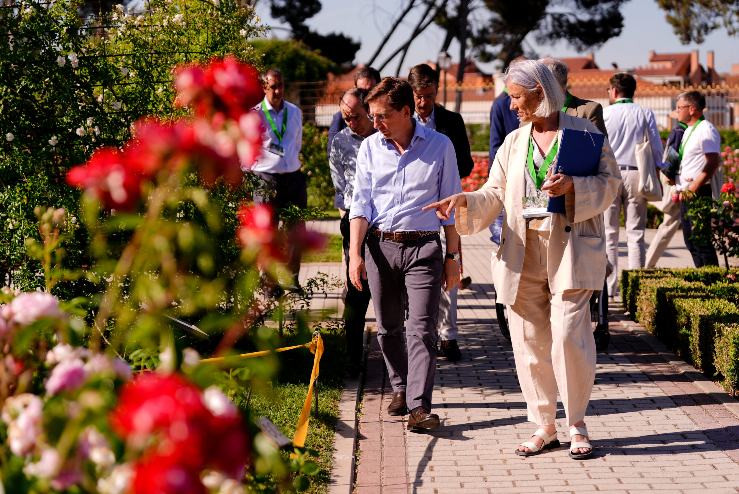 Rosal alemán gana el oro en el 70.º Concurso de Rosas de Madrid
