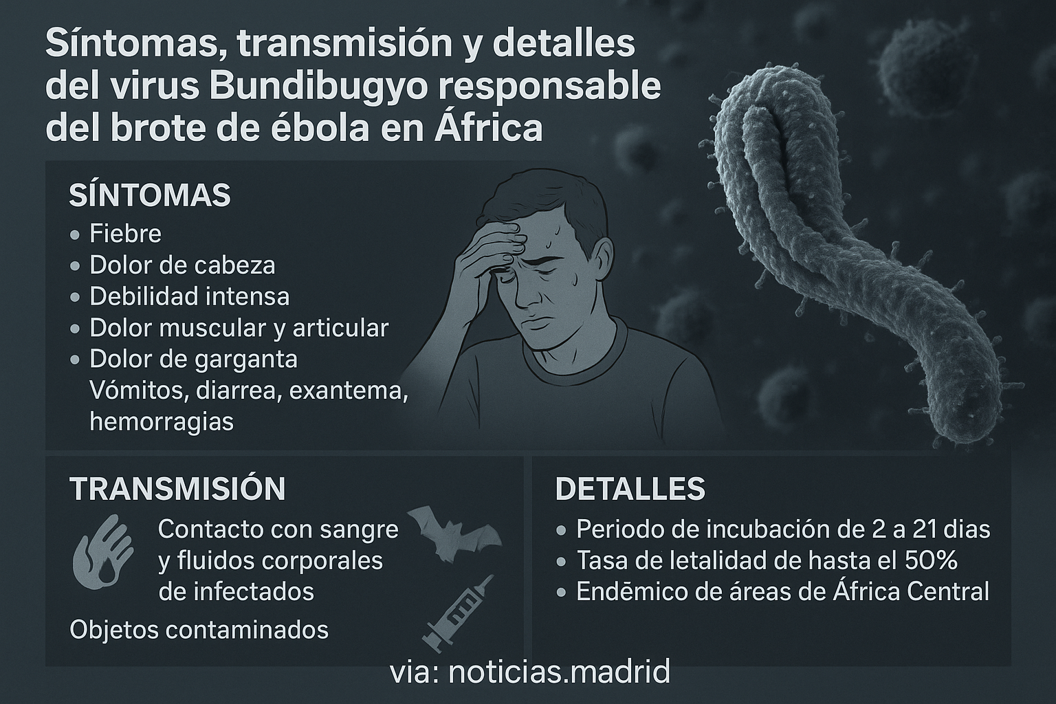 Nuevo brote de ébola declarado en Ituri, noreste de la República Democrática del Congo (Europa Press)