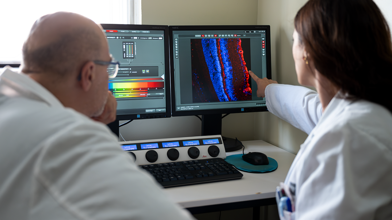 Avance Preclínico: Colirio Neuroprotector para Combatir el Glaucoma Impulsado por Investigadores del Hospital Gregorio Marañón