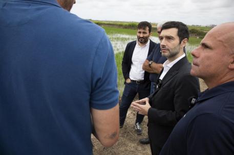 Consumo Exige a la Generalitat Valenciana Actuar Contra el Fraude en el Origen del Arroz
