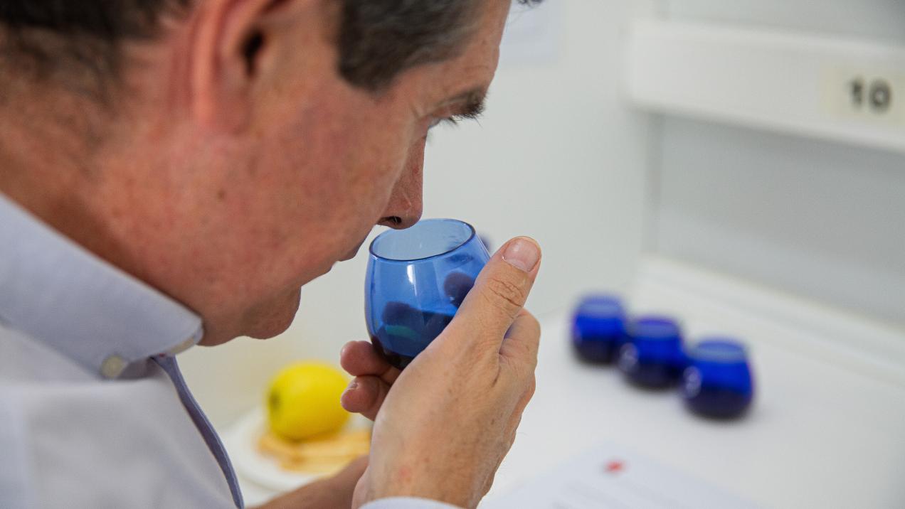 La Comunidad de Madrid Lanza el Primer Concurso de Catadores de Aceite de Oliva Virgen para Impulsar la Excelencia en el Sector