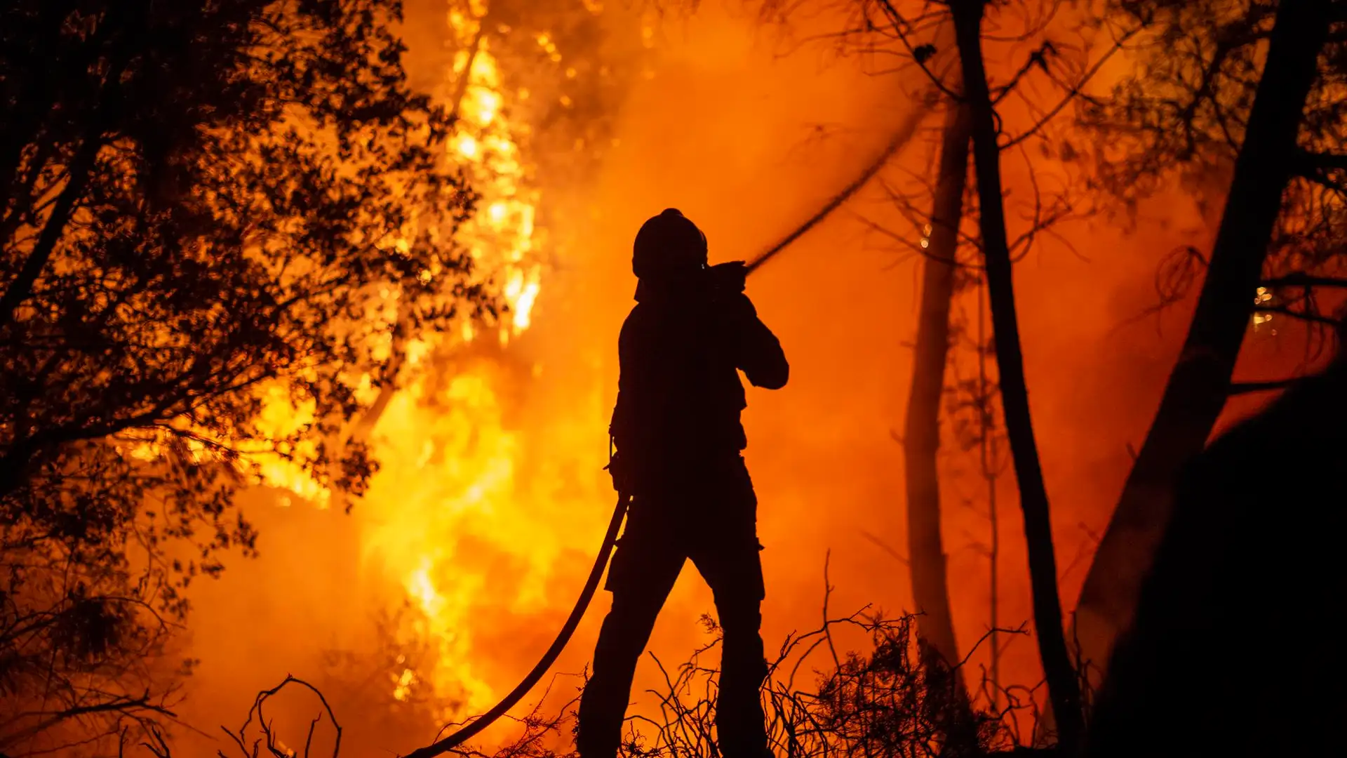 AECIM Expresa Solidaridad y Apoyo a las Comunidades Afectadas por Incendios en España