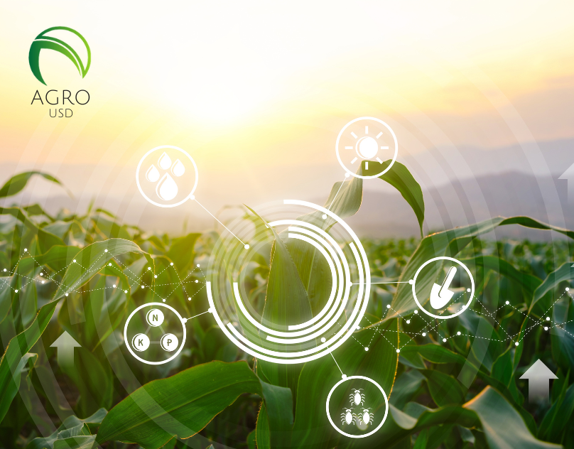 AgroUSD lanza una plataforma blockchain para el agro