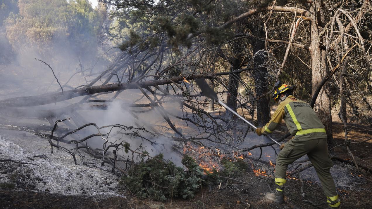 Comunidad de Madrid Lanza Línea Directa para Ayuntamientos Afectados por Incendio en Sierra Oeste