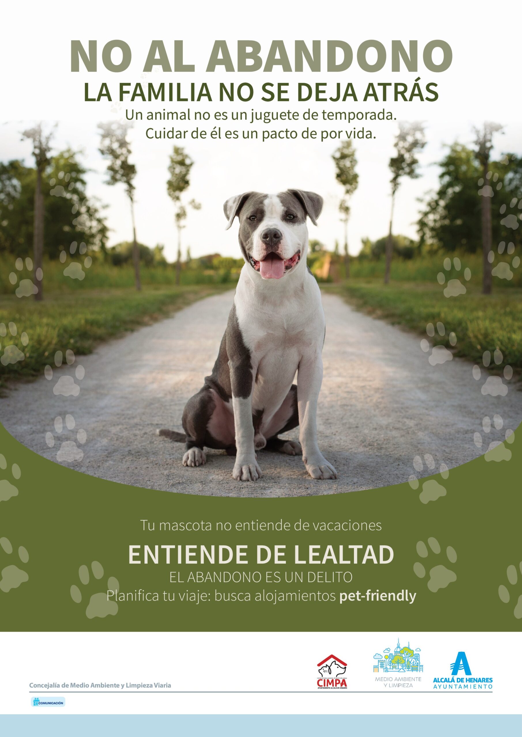 Evento de Puertas Abiertas en el Centro Municipal de Protección Animal: Una Iniciativa Contra el Abandono Estival