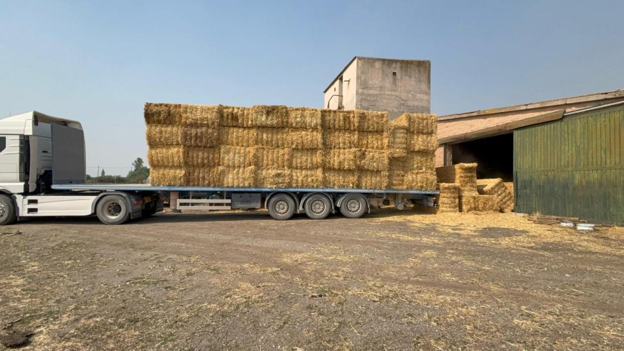 Madrid distribuye ayuda masiva: 130.000 kilos de alimento y 60.000 litros de agua para fauna afectada por incendios