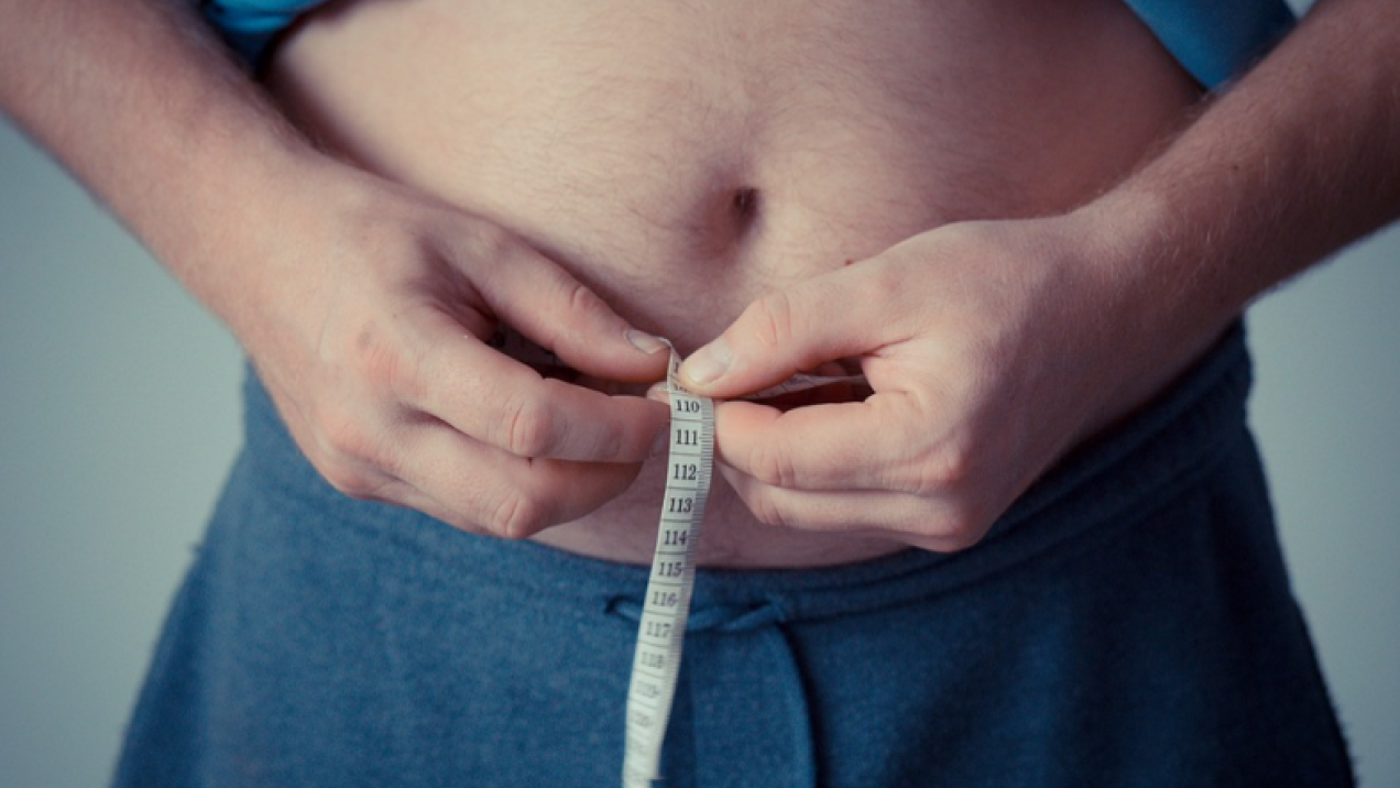IMDEA Nutrición identifica patrones de microbiota ligados a la obesidad metabólicamente sana