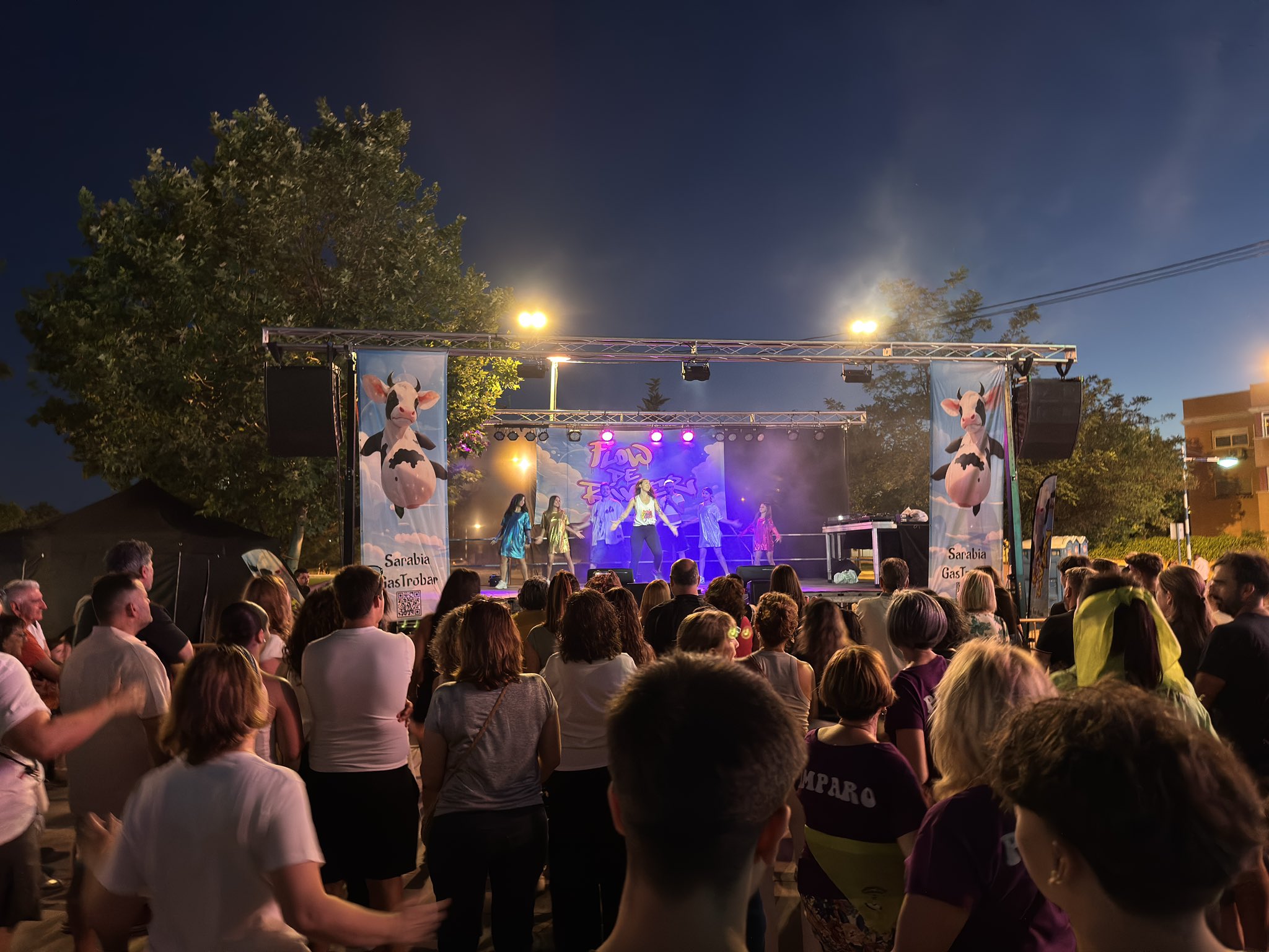 Vibrantes Fiestas en Perales del Río: Celebraciones Barriales del 15 al 20 de Julio