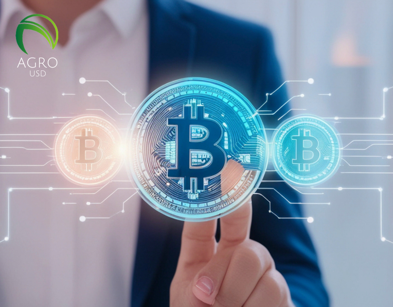 Agro USD Implementa Auditorías Regulares para Aumentar la Transparencia y Confianza en su Stablecoin