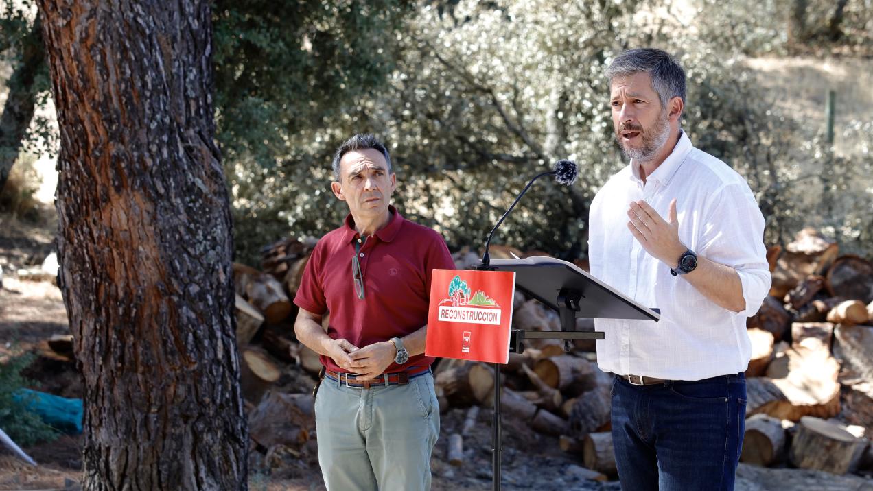 Ayudas y Avales Gratuitos para Empresas Afectadas por Incendios en Madrid