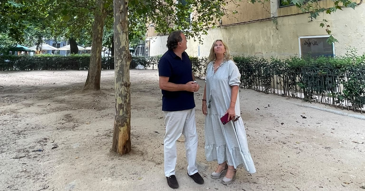 Chamberí tendrá un parque de calistenia en los jardines Pascual Cervera