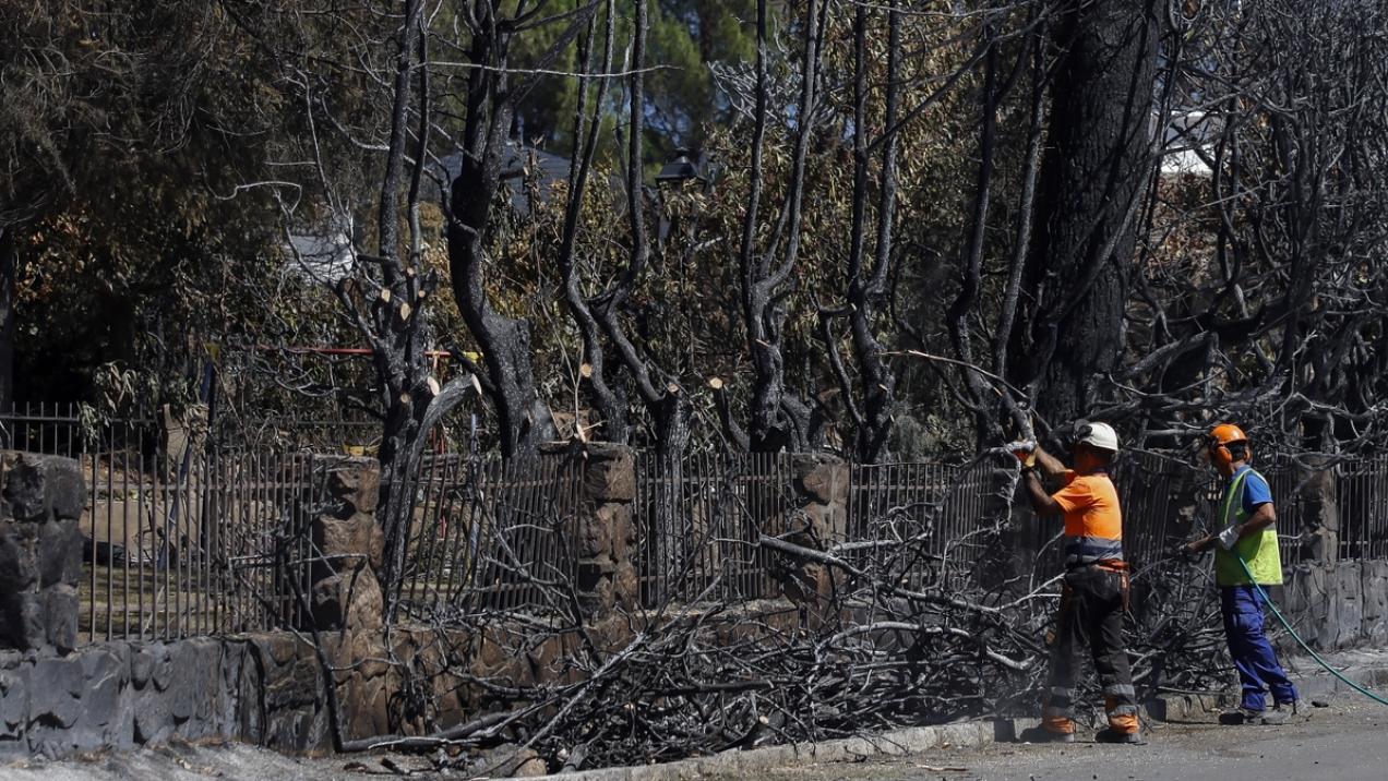 Madrid crea una comisión para reconstruir la Sierra Oeste
