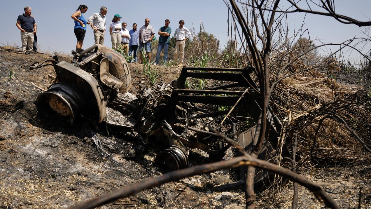 Díaz Ayuso Presenta Iniciativas de Respaldo para Agricultores y Ganaderos Tras el Incendio