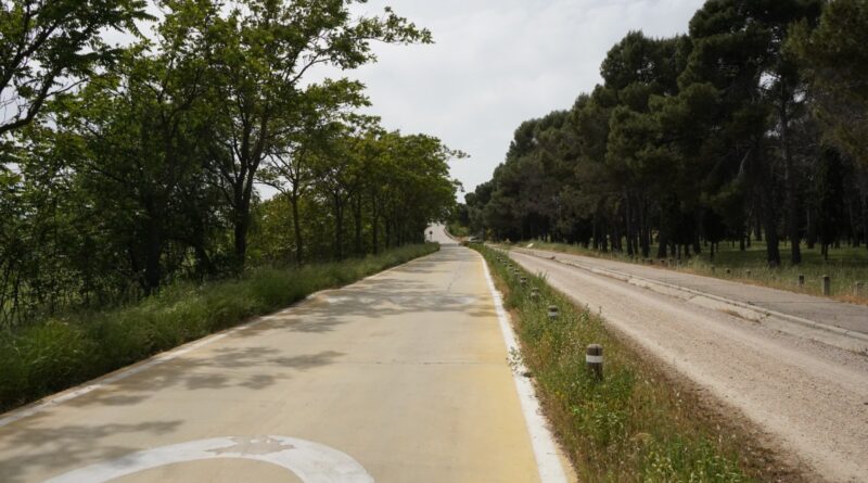 Getafe Inicia Obras para Restaurar el Doble Sentido en la Carretera de Perales del Río