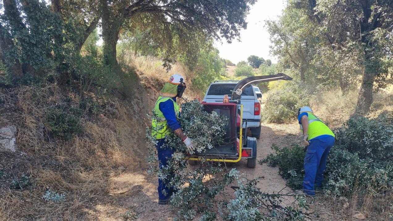 La Comunidad de Madrid Renovará Caminos Rurales en Fuentidueña y Brea de Tajo Durante el Verano