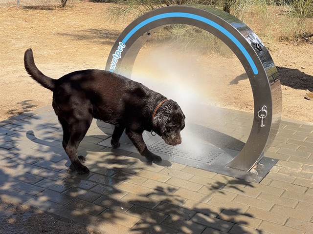 Revolucionario dispositivo para mantener frescos y felices a los perros