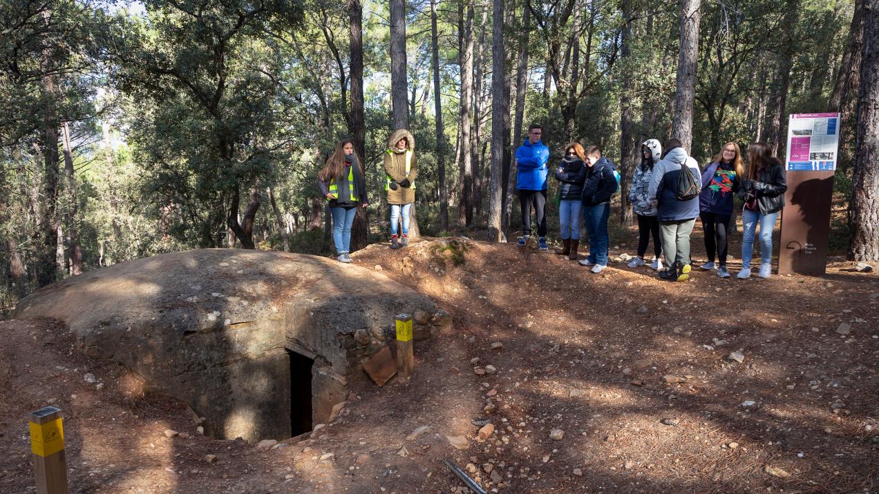 Actividades y Rutas para Descubrir el Patrimonio Natural de Madrid: ¡Más de 70 Oportunidades!