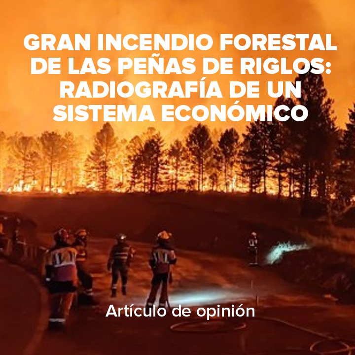 Las Peñas de Riglos: Desentrañando el Ecosistema Económico a través de un GIF