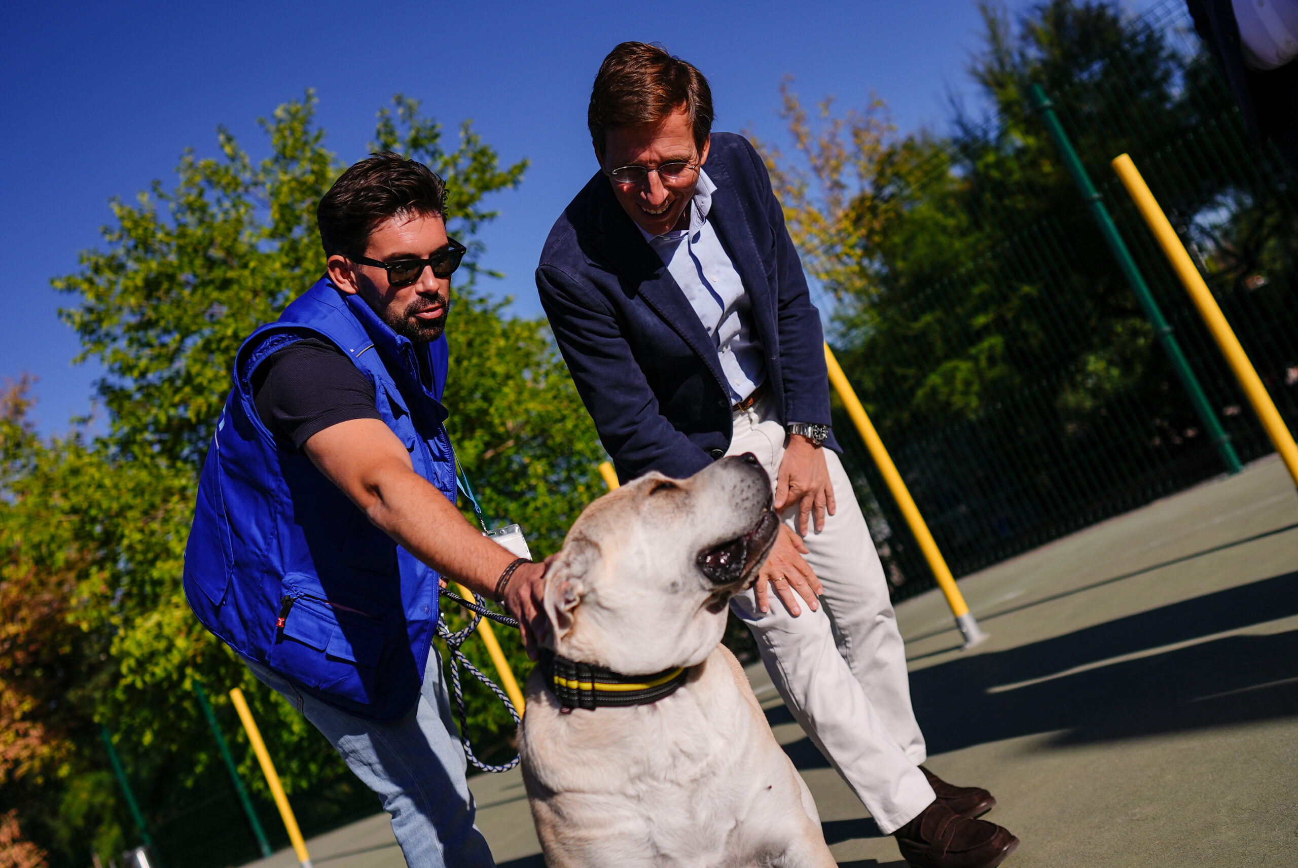 Aniversario de Dos Décadas del Centro de Protección Animal: Pilares del Bienestar Animal Municipal 1 Aniversario de Dos Décadas del Centro de Protección Animal: Pilares del Bienestar Animal Municipal