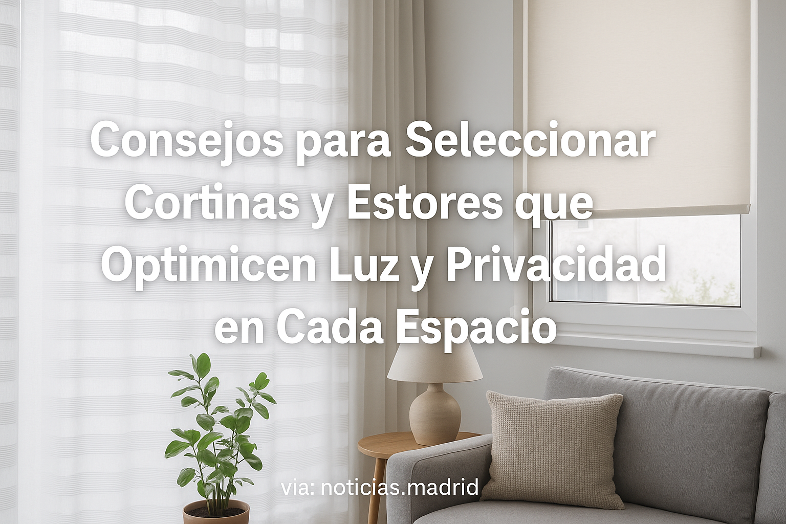 🔴Cómo elegir cortinas y estores según la luz y la privacidad de cada estancia