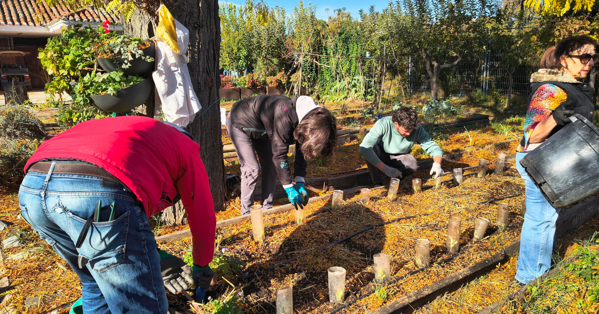 Explora la Biodiversidad de Madrid con Más de 400 Actividades del Programa Hábitat 1 Explora la Biodiversidad de Madrid con Más de 400 Actividades del Programa Hábitat