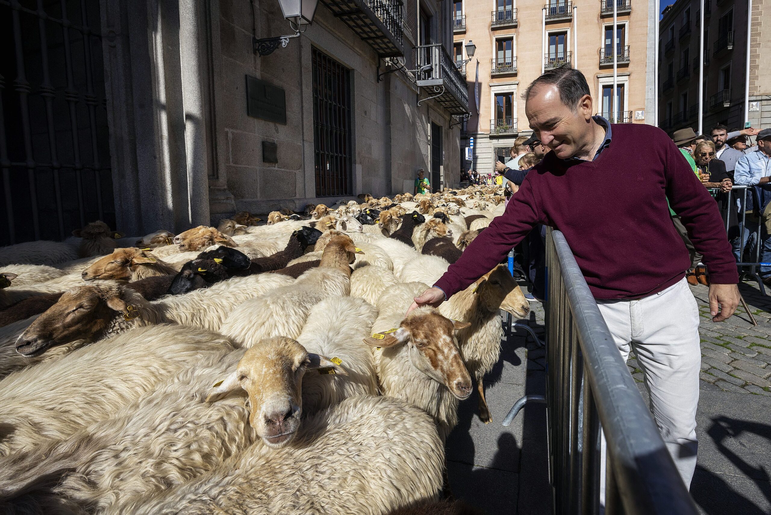 Miles de Madrileños Destacan la Trashumancia como Clave para Preservar el Patrimonio Español