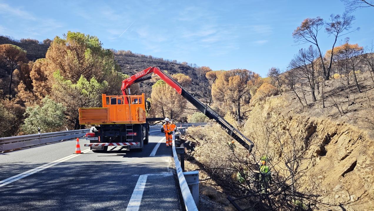 Restauración de Vías en la Sierra Oeste: Madrid Invierte 4,9 Millones tras Devastador Incendio