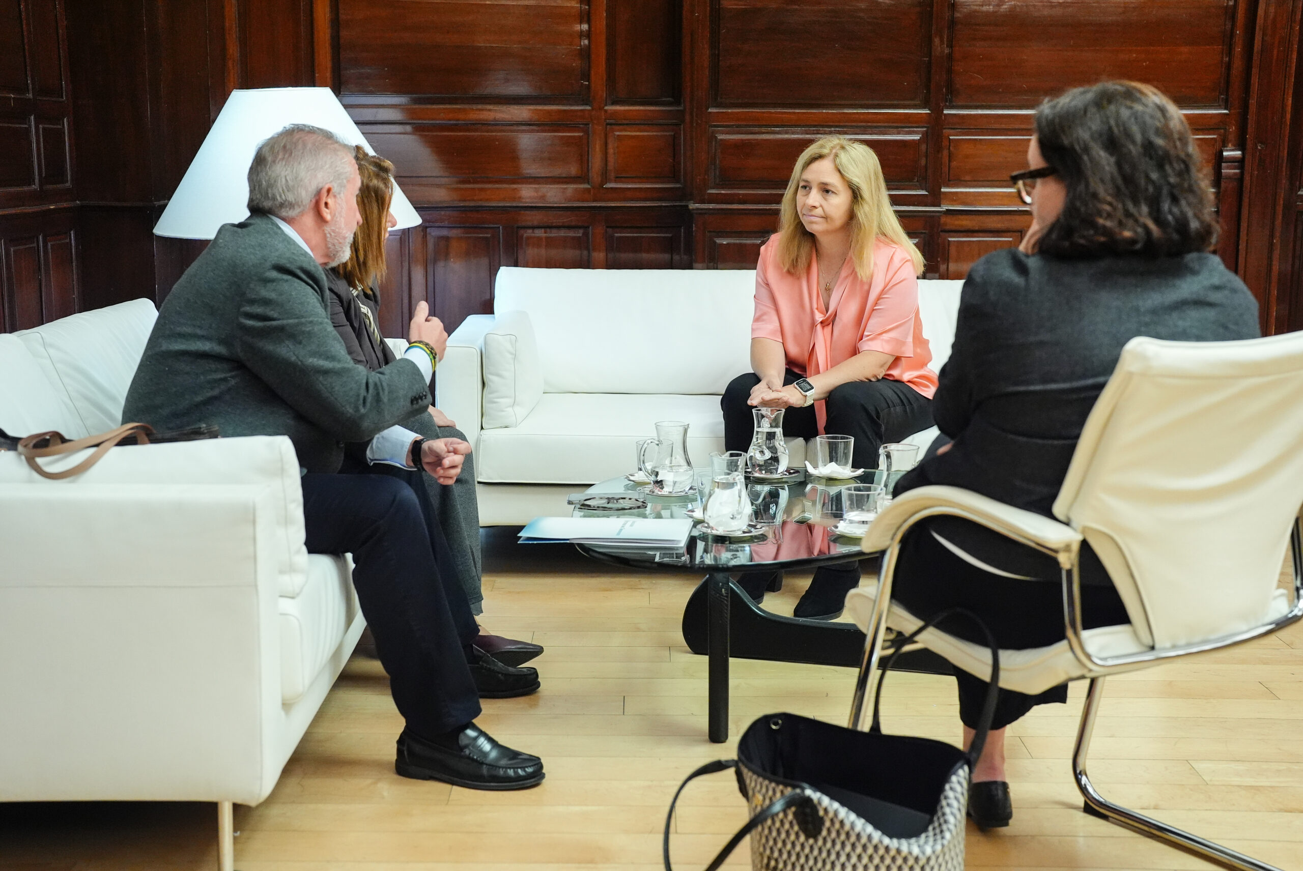 Sanz se reúne con la presidenta de la Asociación de Víctimas del Terrorismo para fortalecer apoyo a las víctimas 1 Sanz se reúne con la presidenta de la Asociación de Víctimas del Terrorismo para fortalecer apoyo a las víctimas