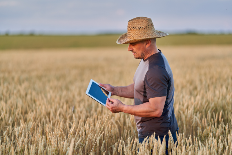 Taller de IA para Agricultores en Acelera Pyme Guadalajara: Potenciando el Futuro de la Agricultura